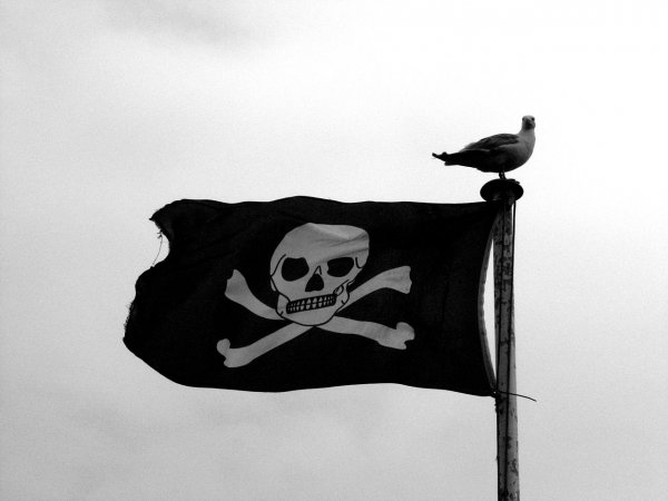 Первого ноября подпишут меморандум о борьбе с пиратством в Сети