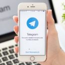 В Белоруссии отключили доступ к месседжеру Telegram В Белоруссии отключили доступ к месседжеру Telegram